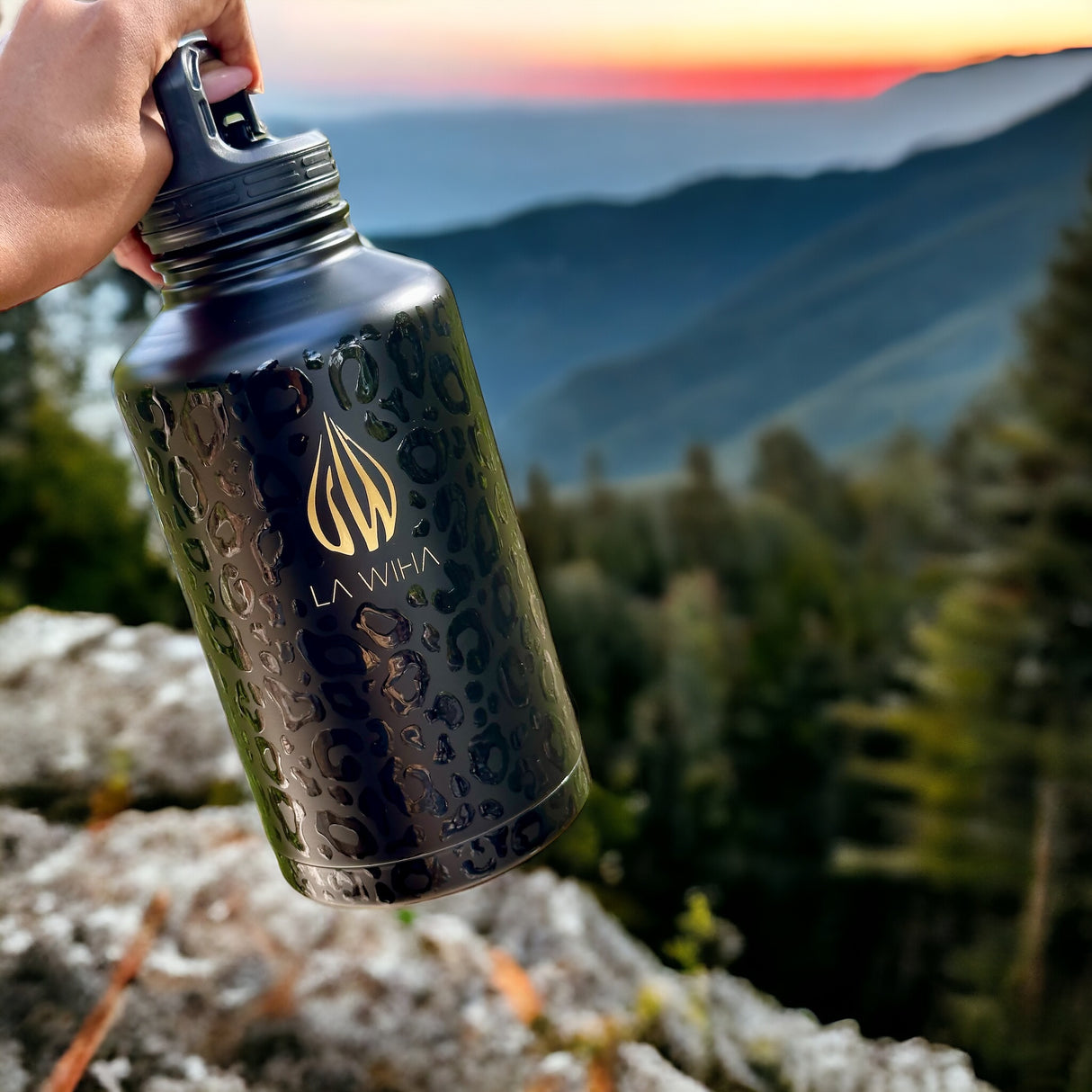 Buy 2 Lids, Get 2 FREE