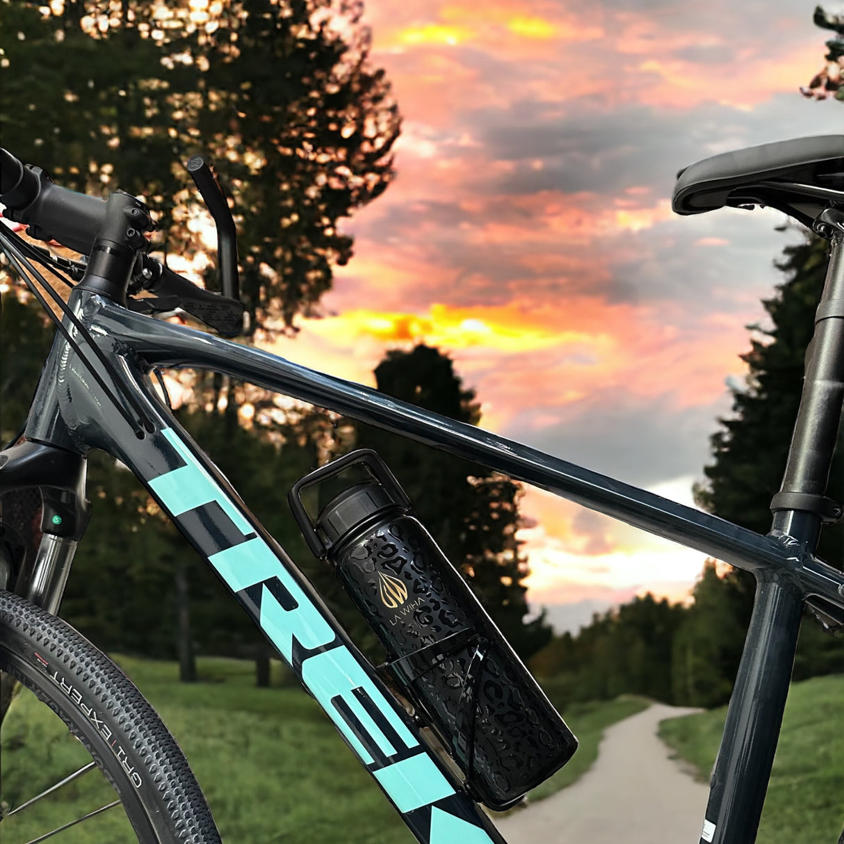 NOIR LEOPARD | 24OZ BOTTLE WITH HANDLE LID